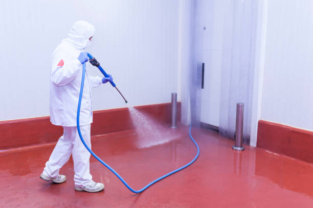 Best Sidewalk and Walkway Cleaning  in Verona, MS